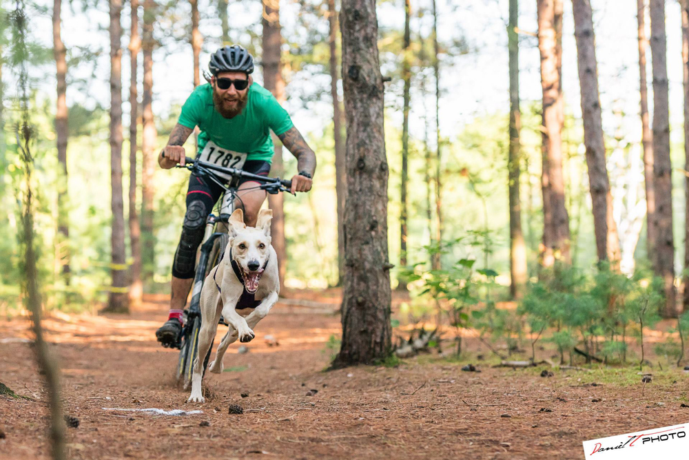 Bikejoring GUIDES CANINS